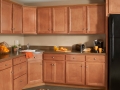 Buildermark_Nutmeg-01 (1)-O