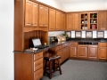 RETOUCHED-Saginaw_Chestnut-O